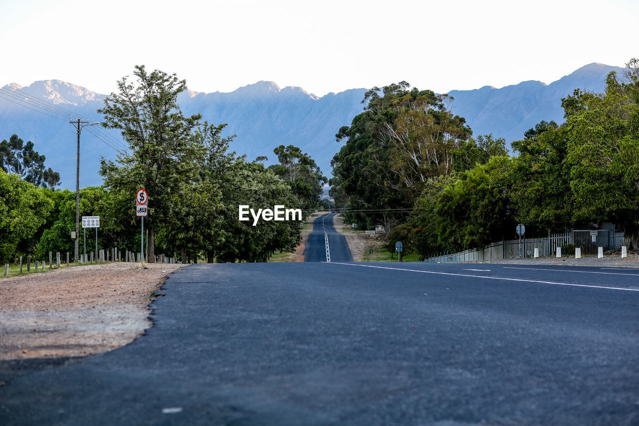 Trees growing by empty road