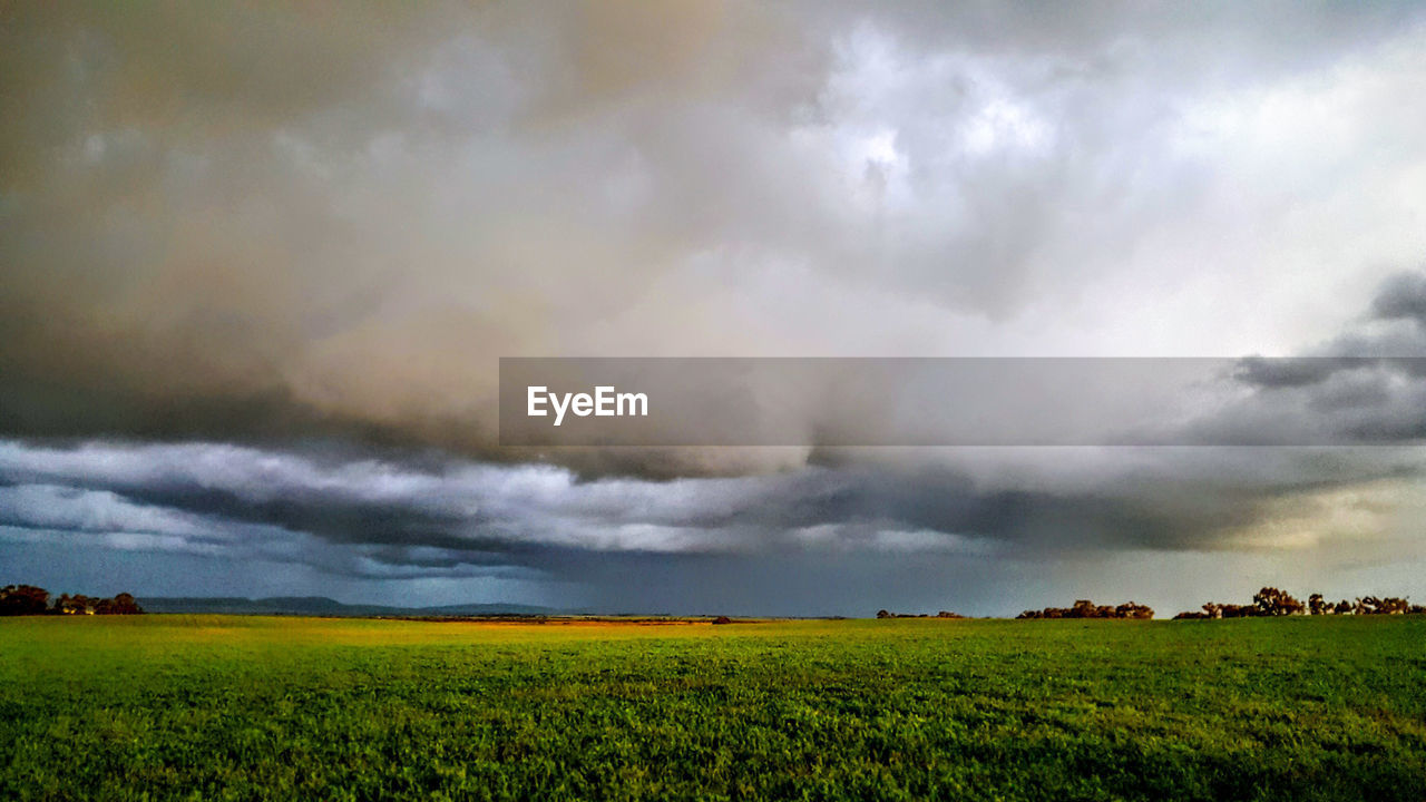 SCENIC VIEW OF STORM CLOUDS OVER FIELD