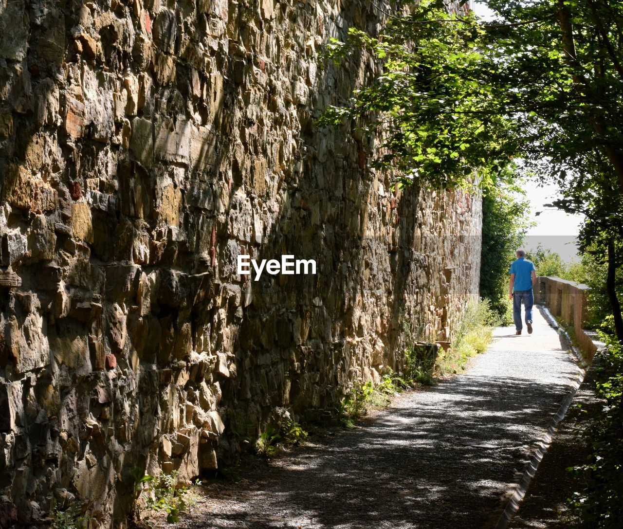 Rear view of a man walking on footpath