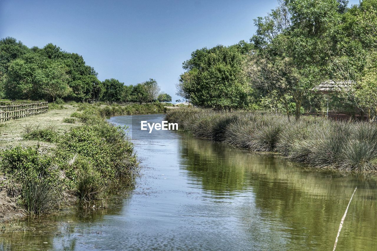 River amidst trees against clear sky