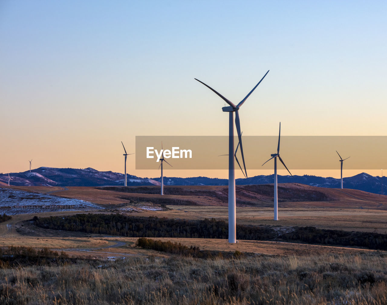 Wind turbines in a field with clear sky