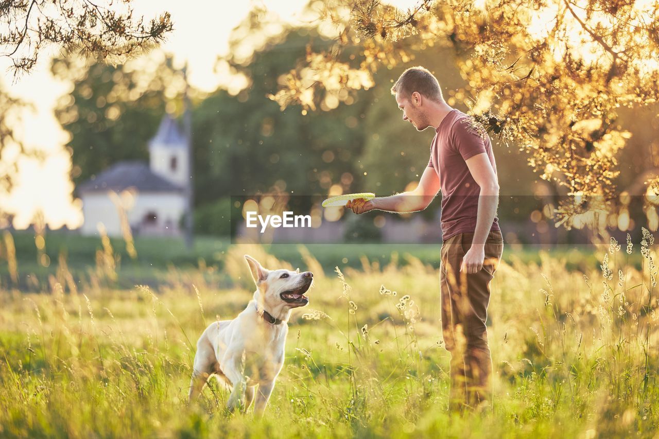 Man throwing plastic disc with dog on field against tree