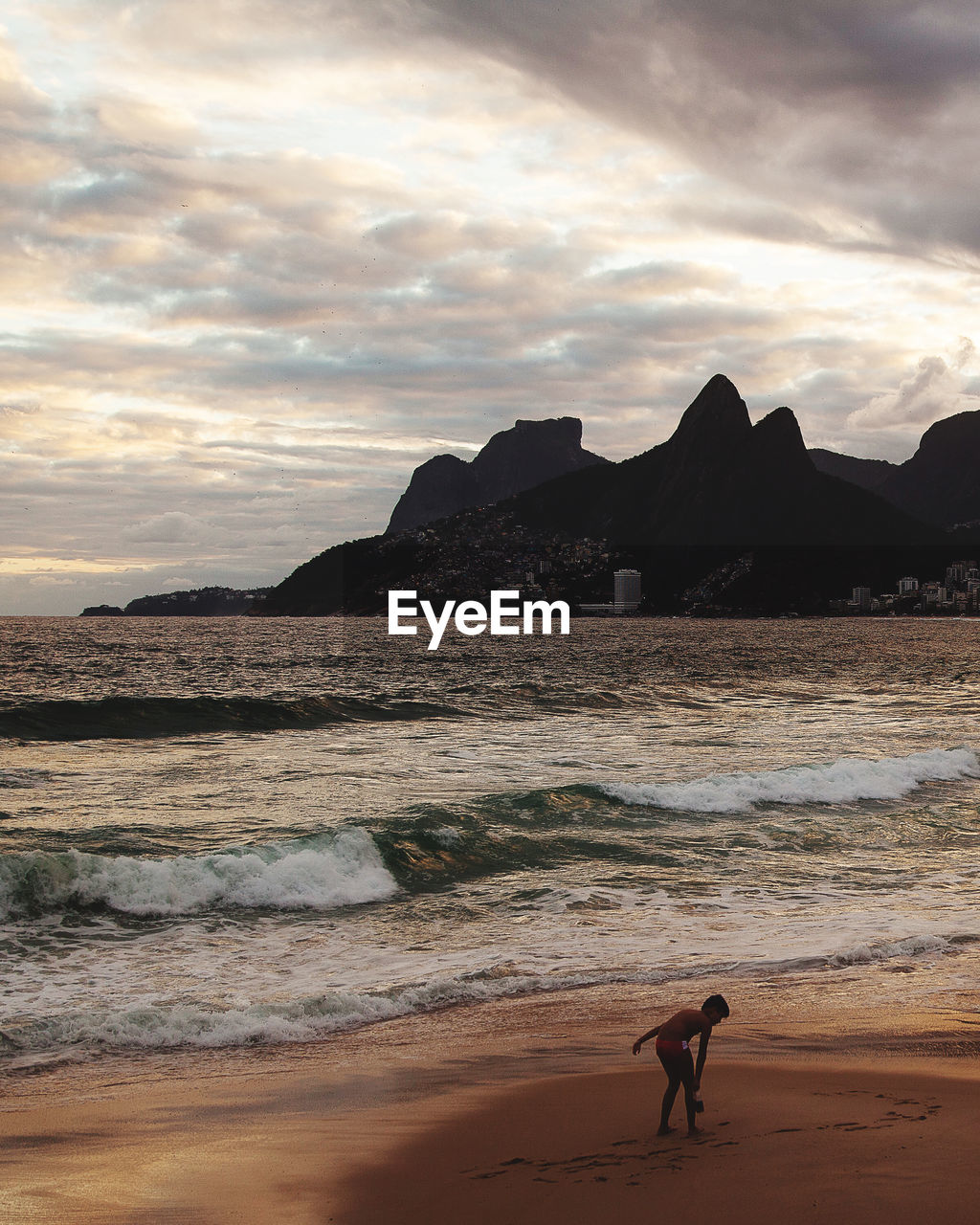 DOG ON BEACH AT SUNSET