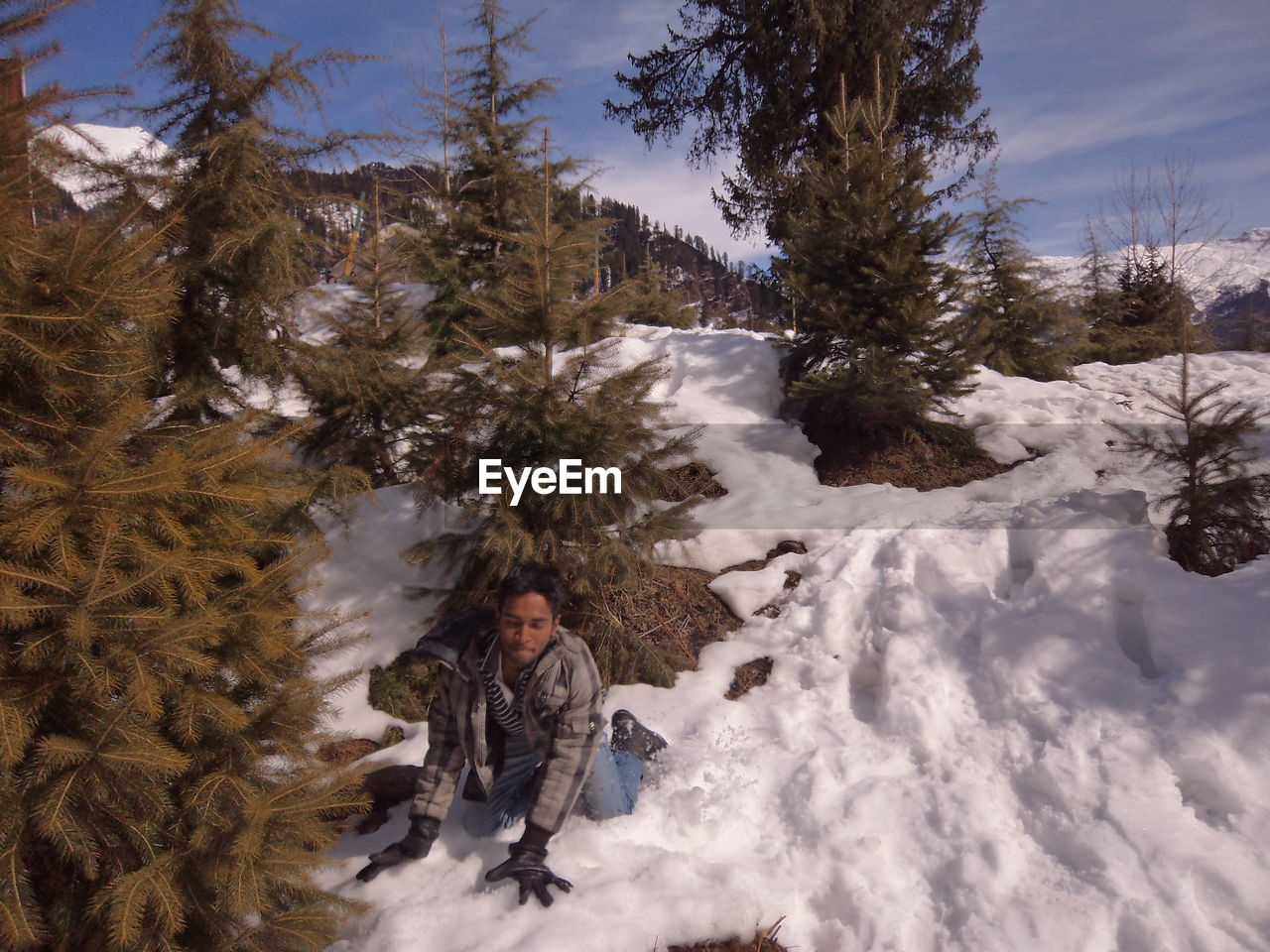 Man enjoying amidst trees on snow covered mountain