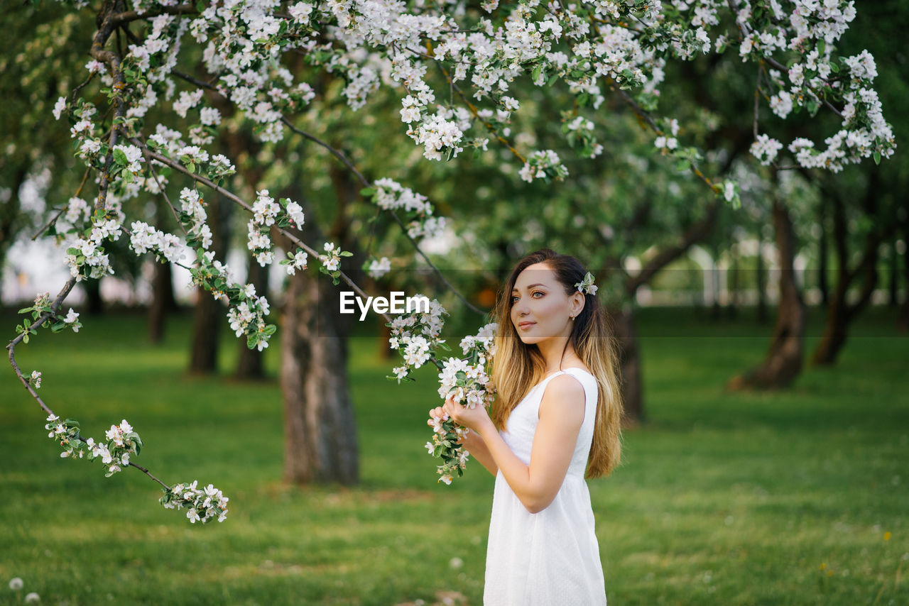 A young happy woman walks through an apple orchard among spring white flowers
