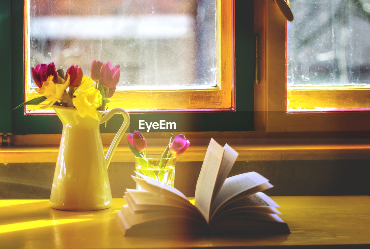 High angle view of flower and book on window sill