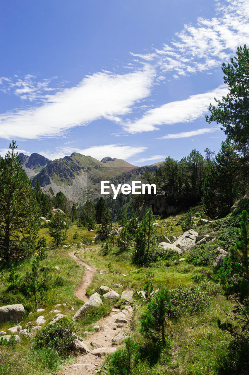 SCENIC VIEW OF TREES AND MOUNTAINS AGAINST SKY