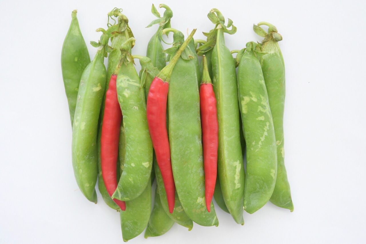 CLOSE-UP OF GREEN CHILI PEPPER OVER WHITE BACKGROUND