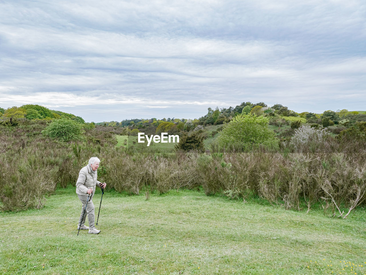 Woman in a natural park in denmark is hiking with hiking sticks