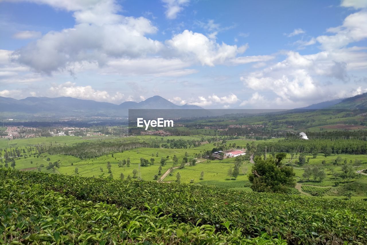 SCENIC VIEW OF FARM AGAINST SKY