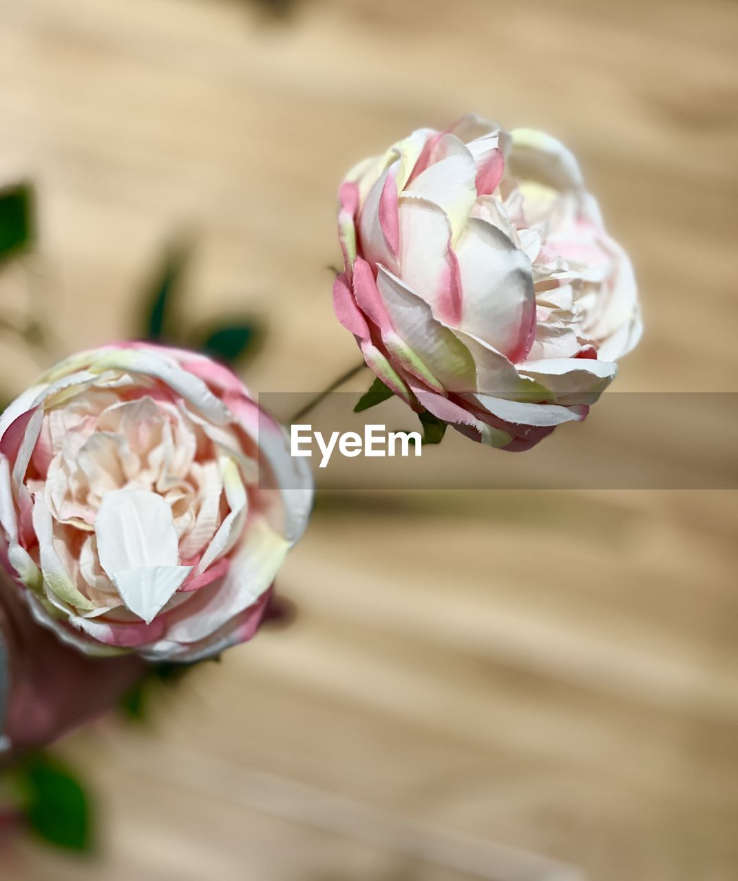 pink, flower, flowering plant, plant, petal, freshness, bouquet, beauty in nature, close-up, nature, no people, focus on foreground, macro photography, fragility, spring, food and drink, blossom, outdoors, selective focus, decoration, celebration, food, flower head, floristry