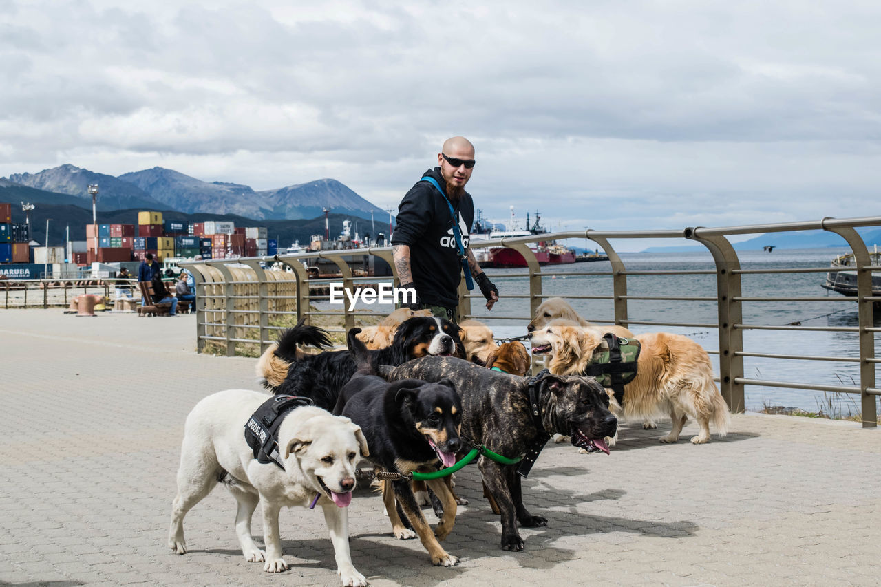 MAN WITH DOG AT CAMERA