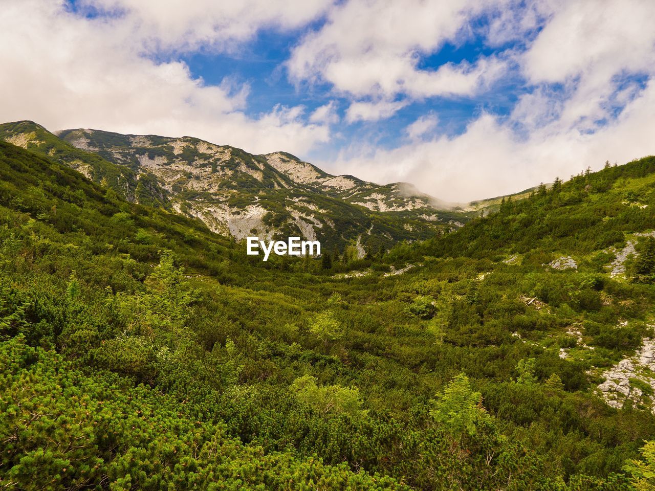 SCENIC VIEW OF MOUNTAIN AGAINST SKY