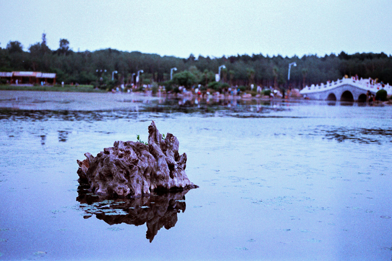 BIRDS ON LAKE AGAINST SKY