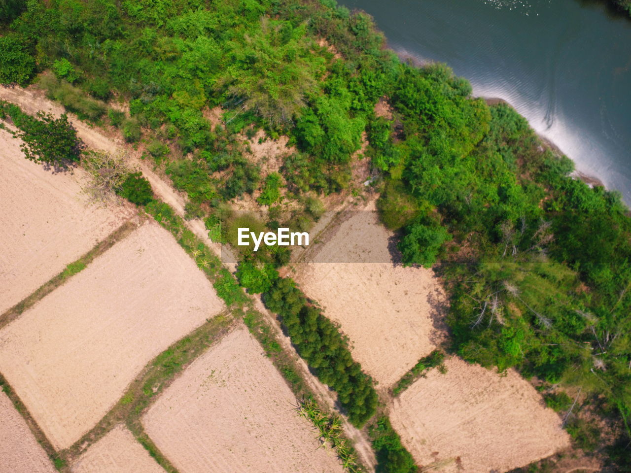 Aeria view of farm and forest