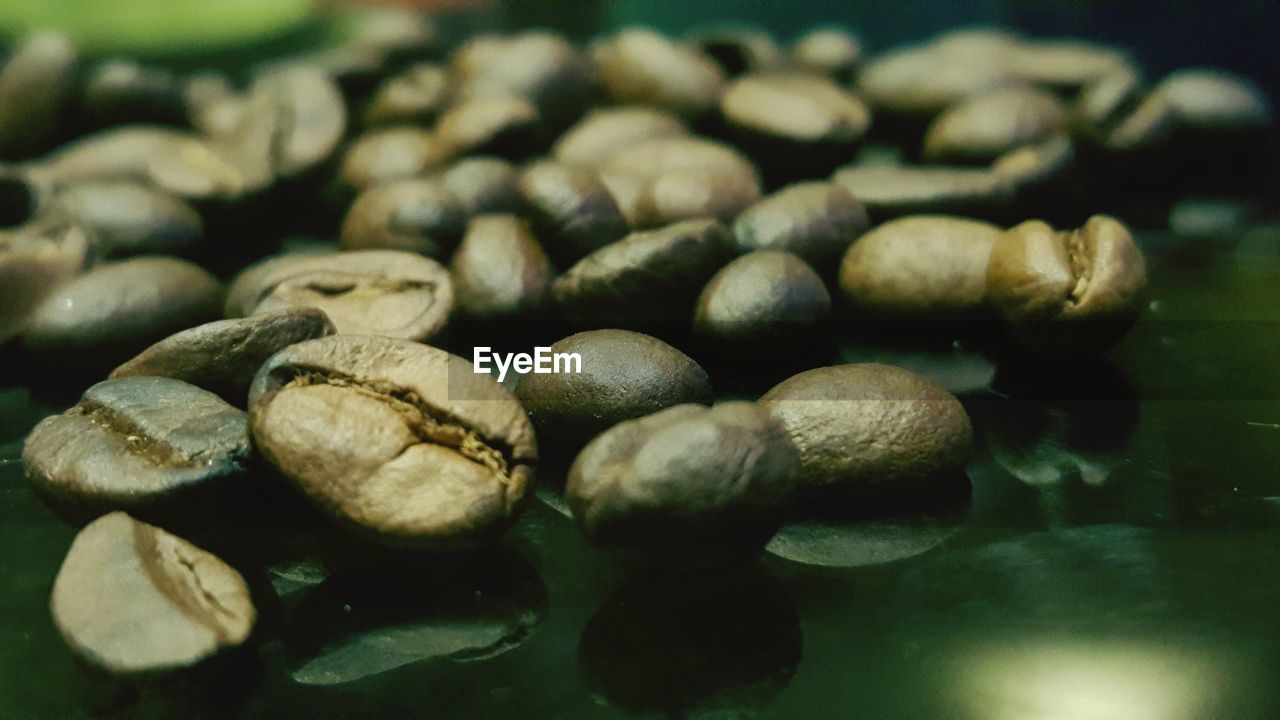 Full frame shot of fresh green leaves