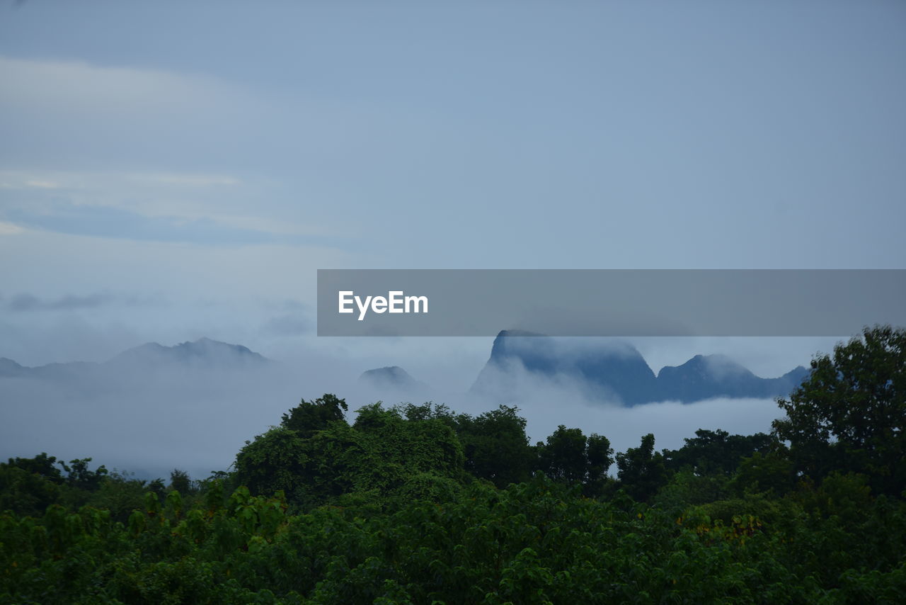 sky, nature, tree, cloud, environment, plant, mountain, landscape, scenics - nature, beauty in nature, land, fog, forest, horizon, no people, morning, travel, outdoors, tranquility, travel destinations, tourism, non-urban scene, mountain range, social issues, mist, tranquil scene, blue