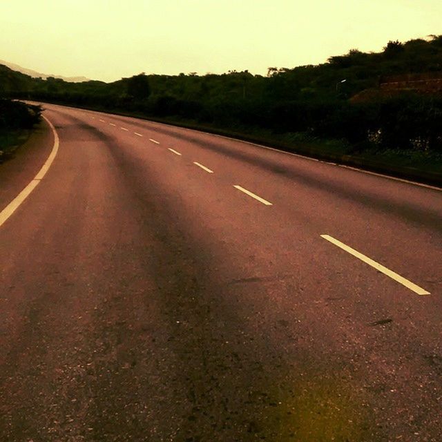 ROAD PASSING THROUGH TREES