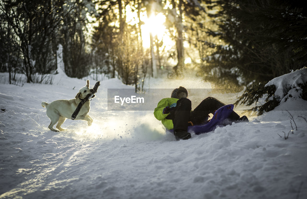 Woman with dog in snow