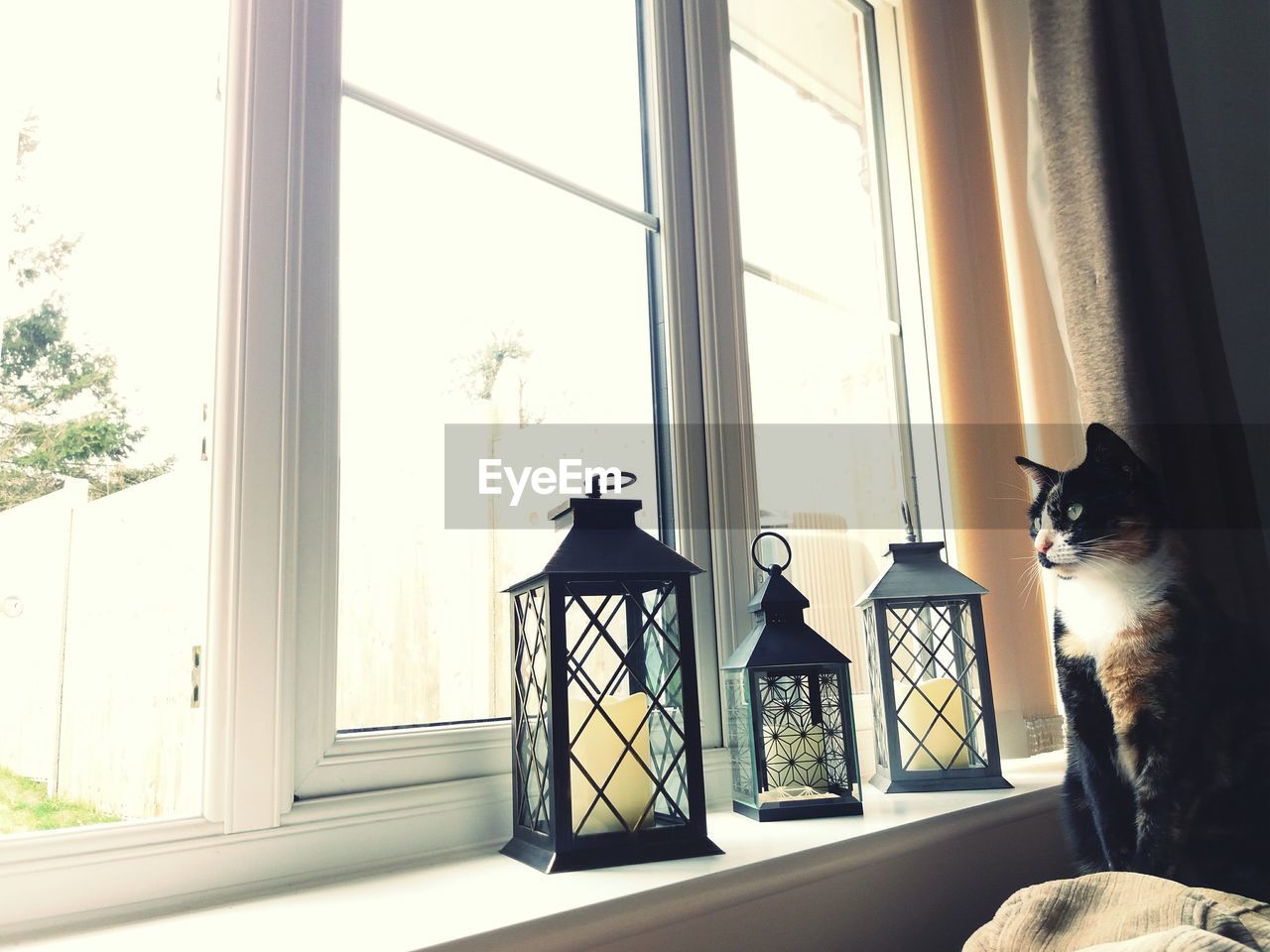 WOMAN AND WINDOW AT HOME