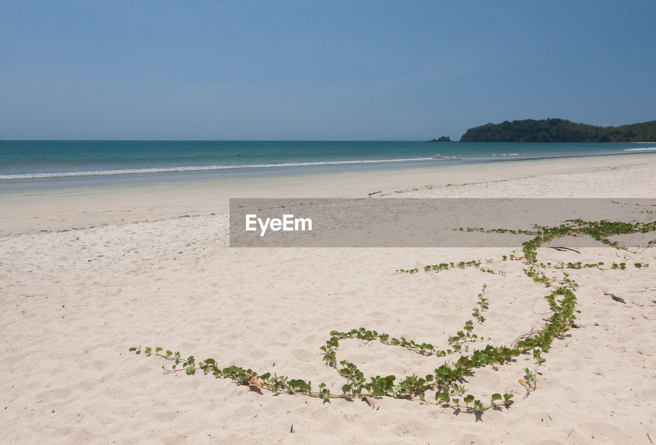 SCENIC VIEW OF BEACH