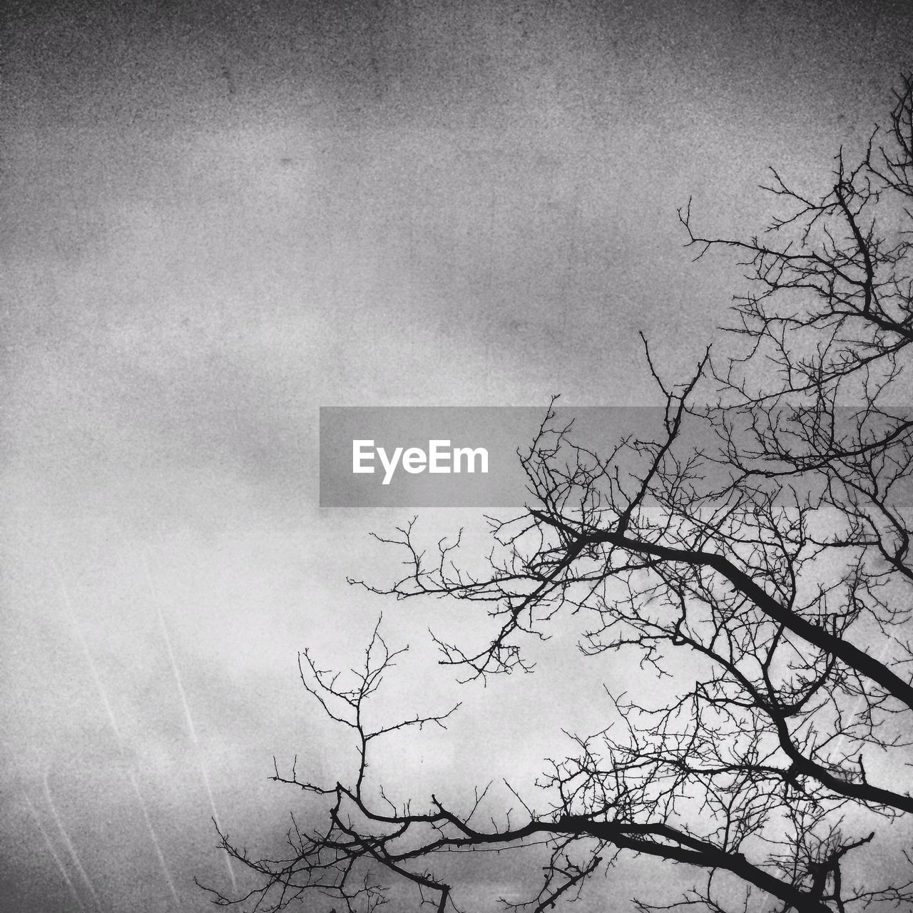LOW ANGLE VIEW OF SILHOUETTE BARE TREES AGAINST SKY