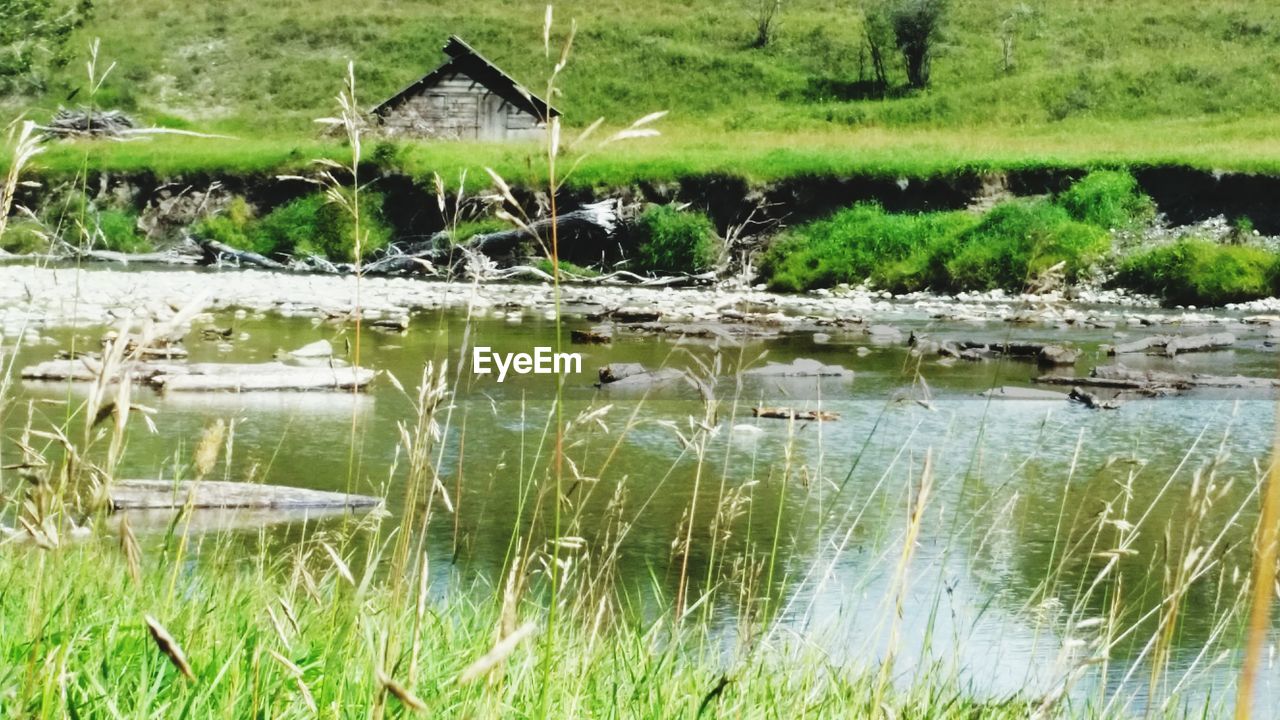 SCENIC VIEW OF LAKE