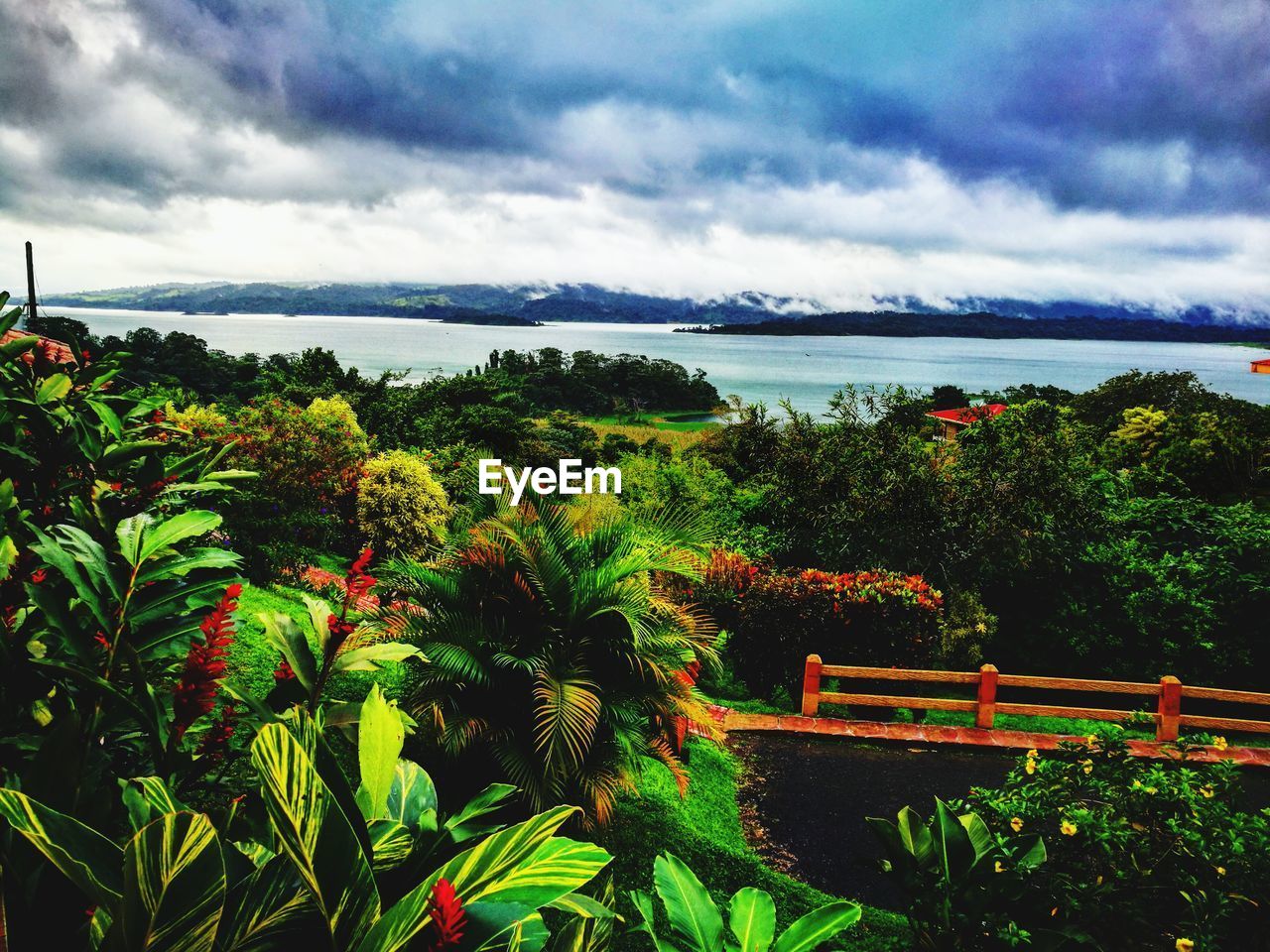 PLANTS AND TREES ON LANDSCAPE AGAINST SEA