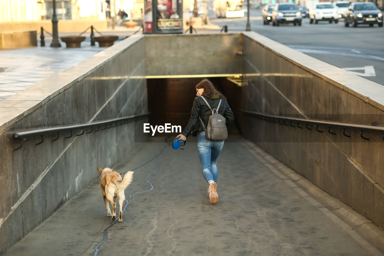 Rear view of woman with dog walking into subway