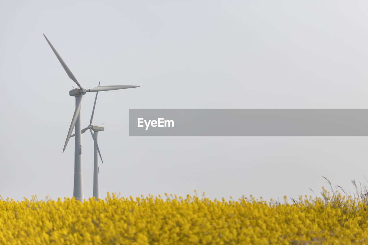 WIND TURBINES IN FIELD