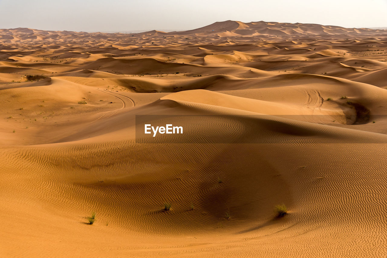 Sand dunes in desert against sky