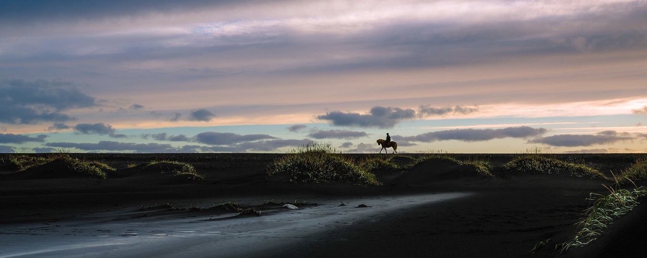 Silhouette person riding horse at beach against sky during sunset