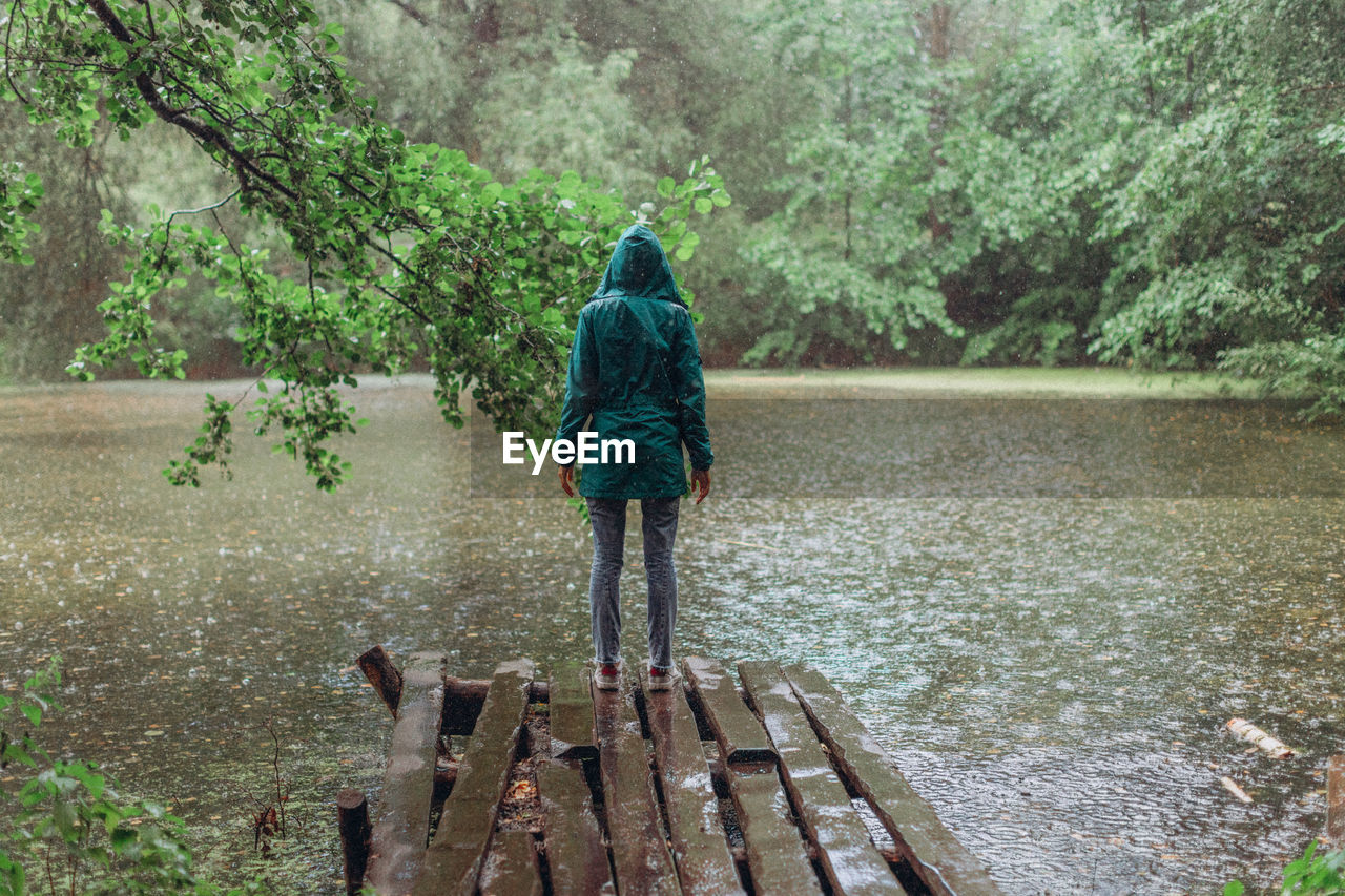 Rear view of man walking in forest