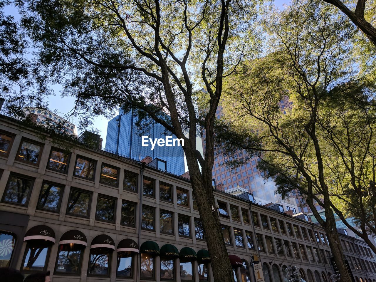 LOW ANGLE VIEW OF BUILDING WITH TREES AGAINST SKY