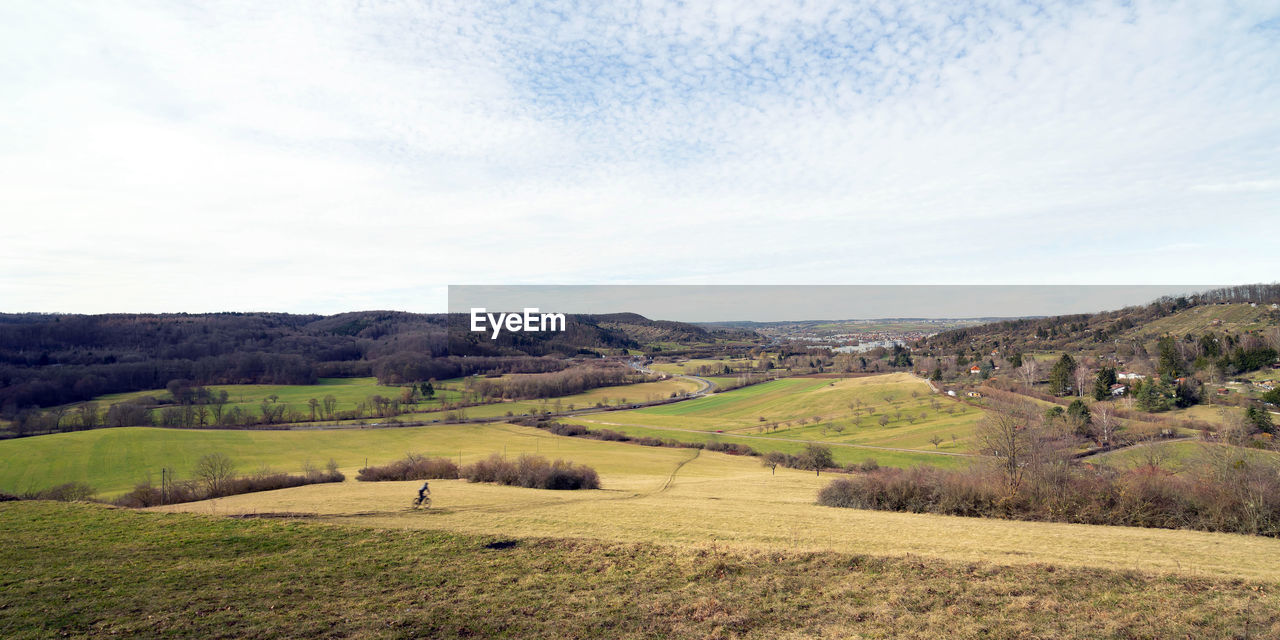 Scenic view of agricultural landscape against sky