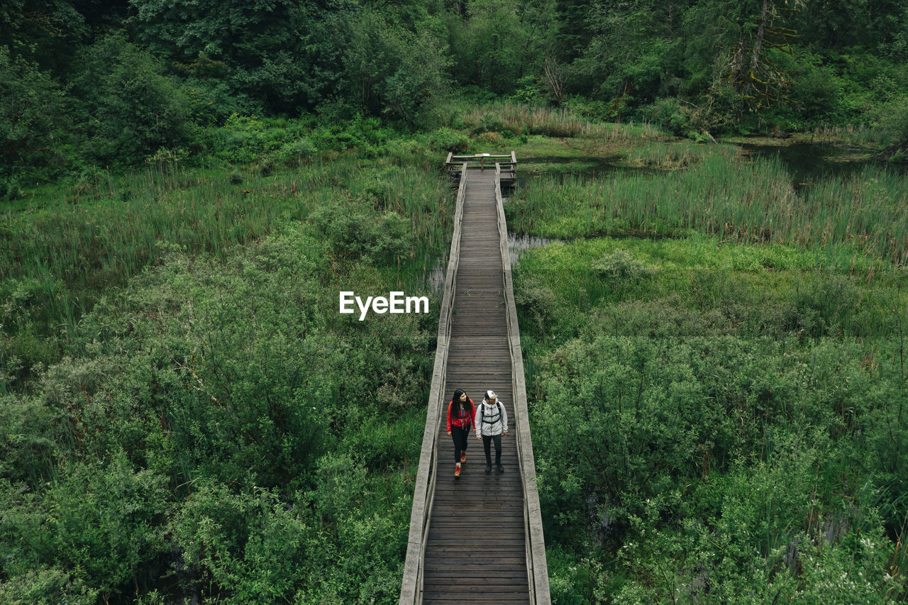 A young couple enjoys a hike on a boardwalk in the pacific northwest.
