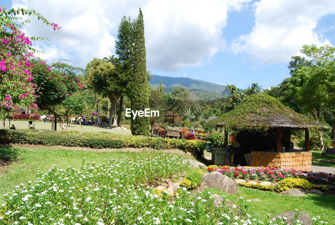 SCENIC VIEW OF FLOWERING PLANTS AND TREES AGAINST SKY