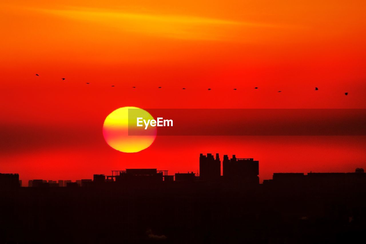 sunset, sky, horizon, afterglow, dawn, architecture, orange color, silhouette, building exterior, sun, city, built structure, flying, nature, landscape, urban skyline, skyline, red sky at morning, beauty in nature, dramatic sky, no people, building, cloud, evening, cityscape, red, outdoors, travel destinations, romantic sky, bird, scenics - nature, mid-air, animal themes, animal, skyscraper, sunlight, astronomical object