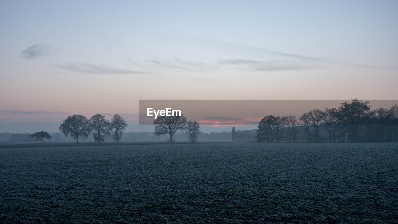 horizon, sky, morning, dawn, sunrise, tree, environment, landscape, nature, plant, fog, cloud, land, scenics - nature, beauty in nature, tranquility, no people, mist, field, sunlight, tranquil scene, twilight, outdoors, rural scene, architecture, sun, blue, winter, agriculture, idyllic