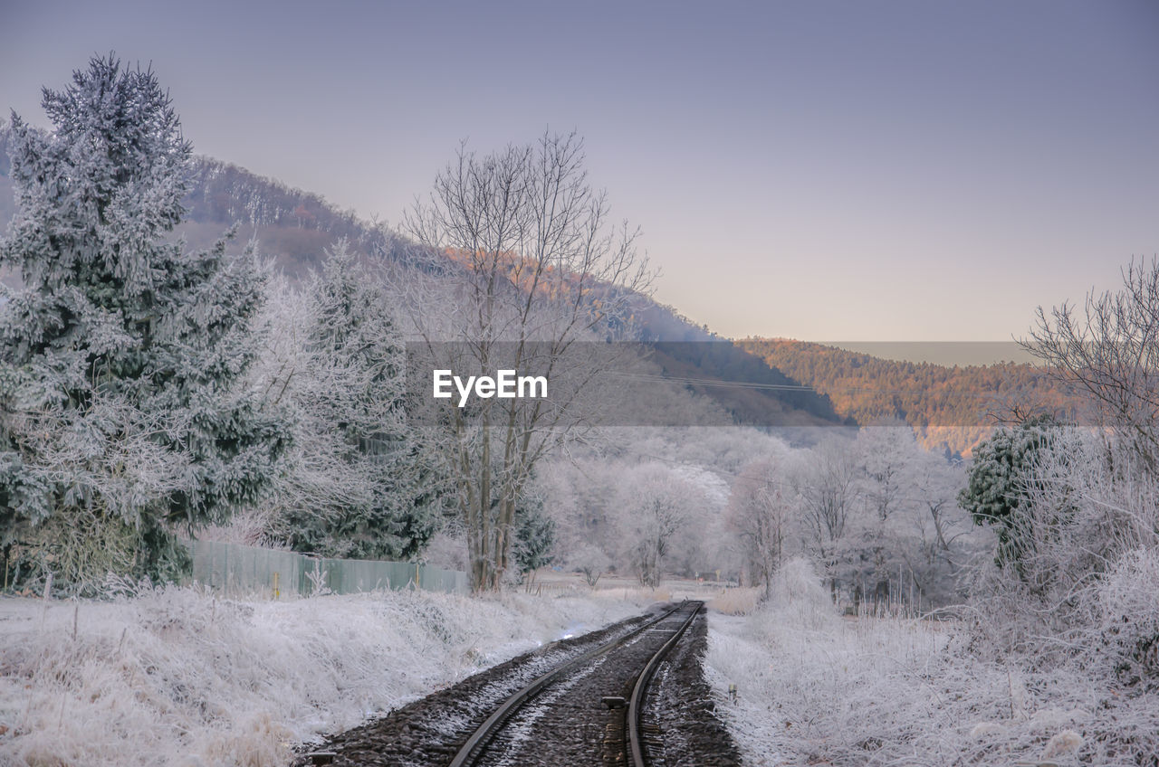 Scenic view of trees and mountains against sky