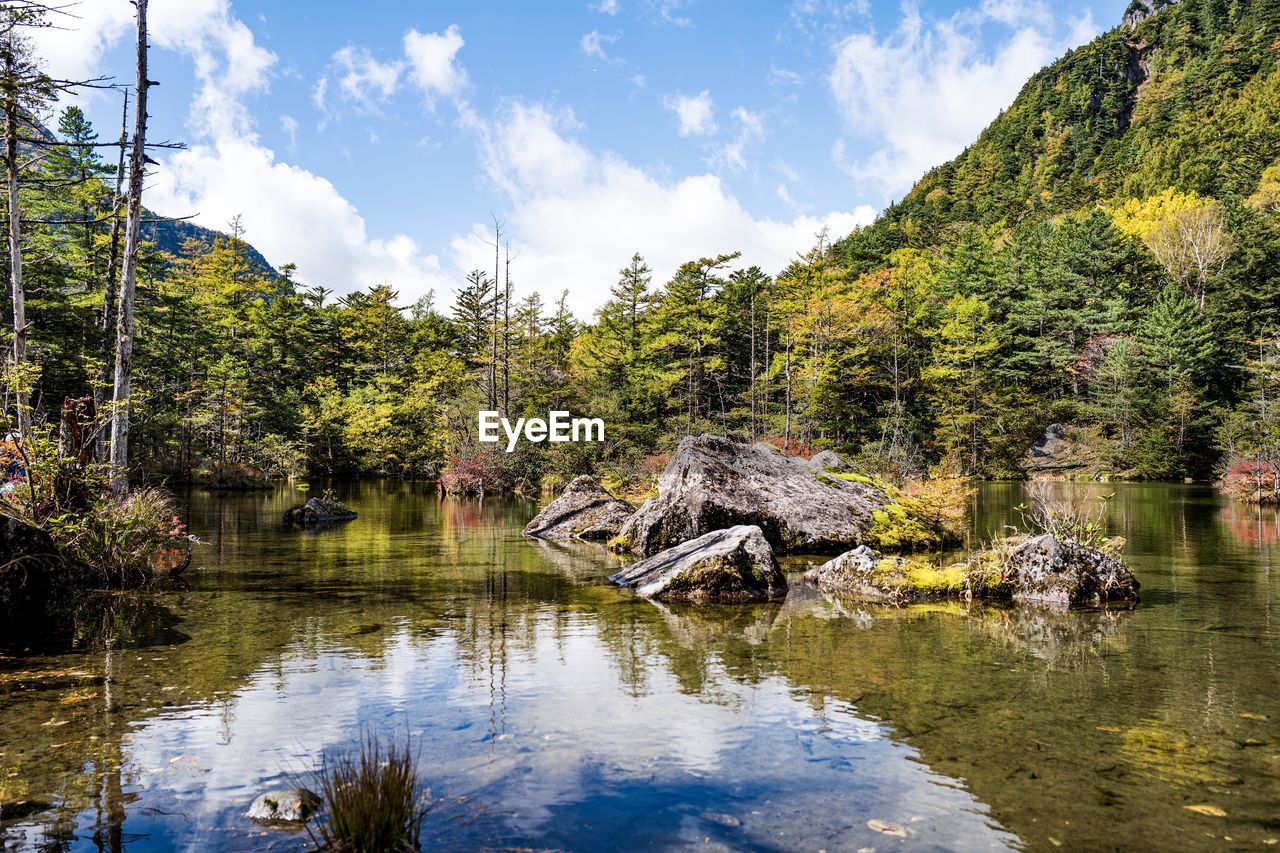 Scenic view of lake by trees against sky