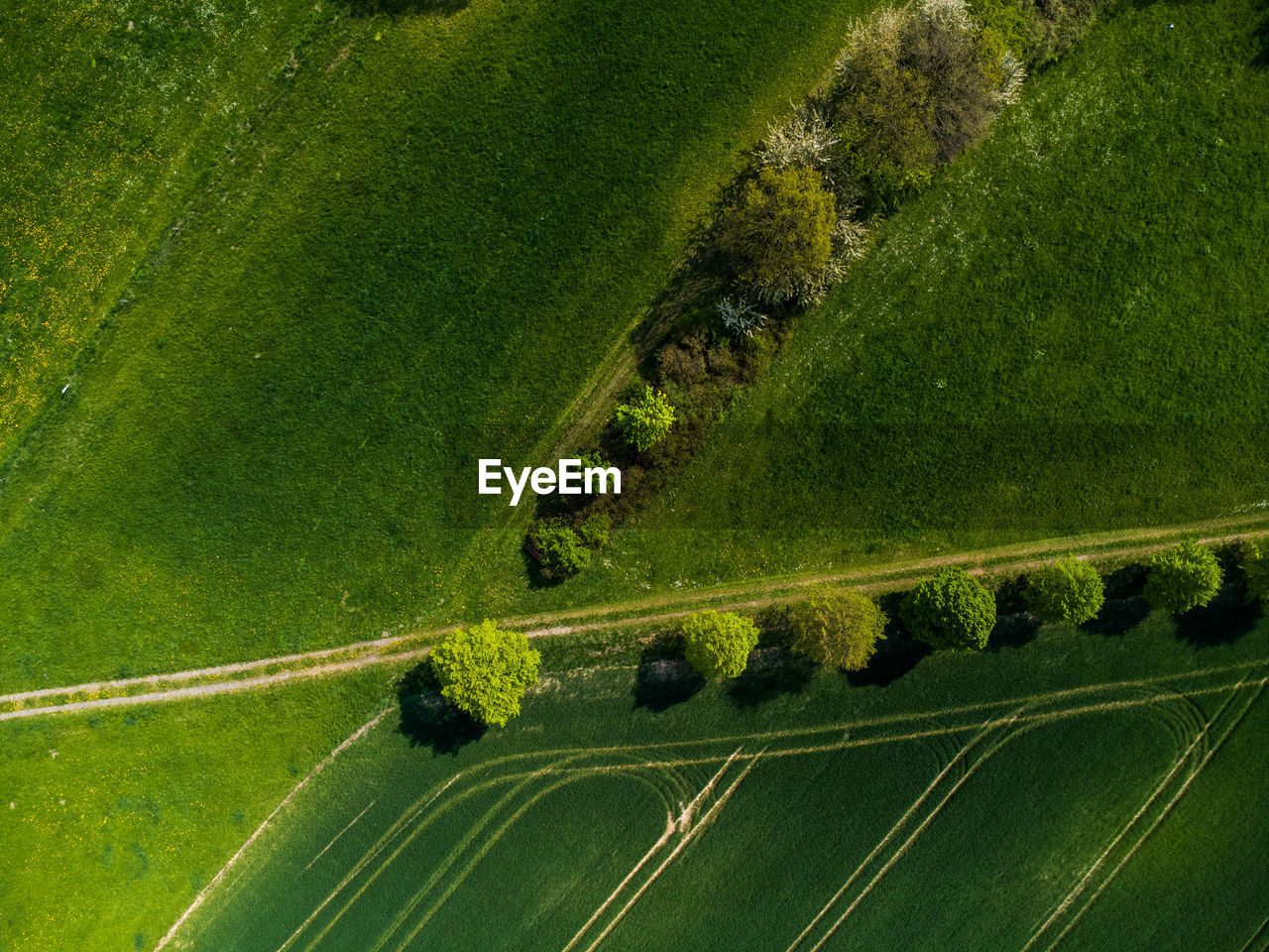 Scenic aerial view of ways lined with trees crossing between meadows and green fields in rural area