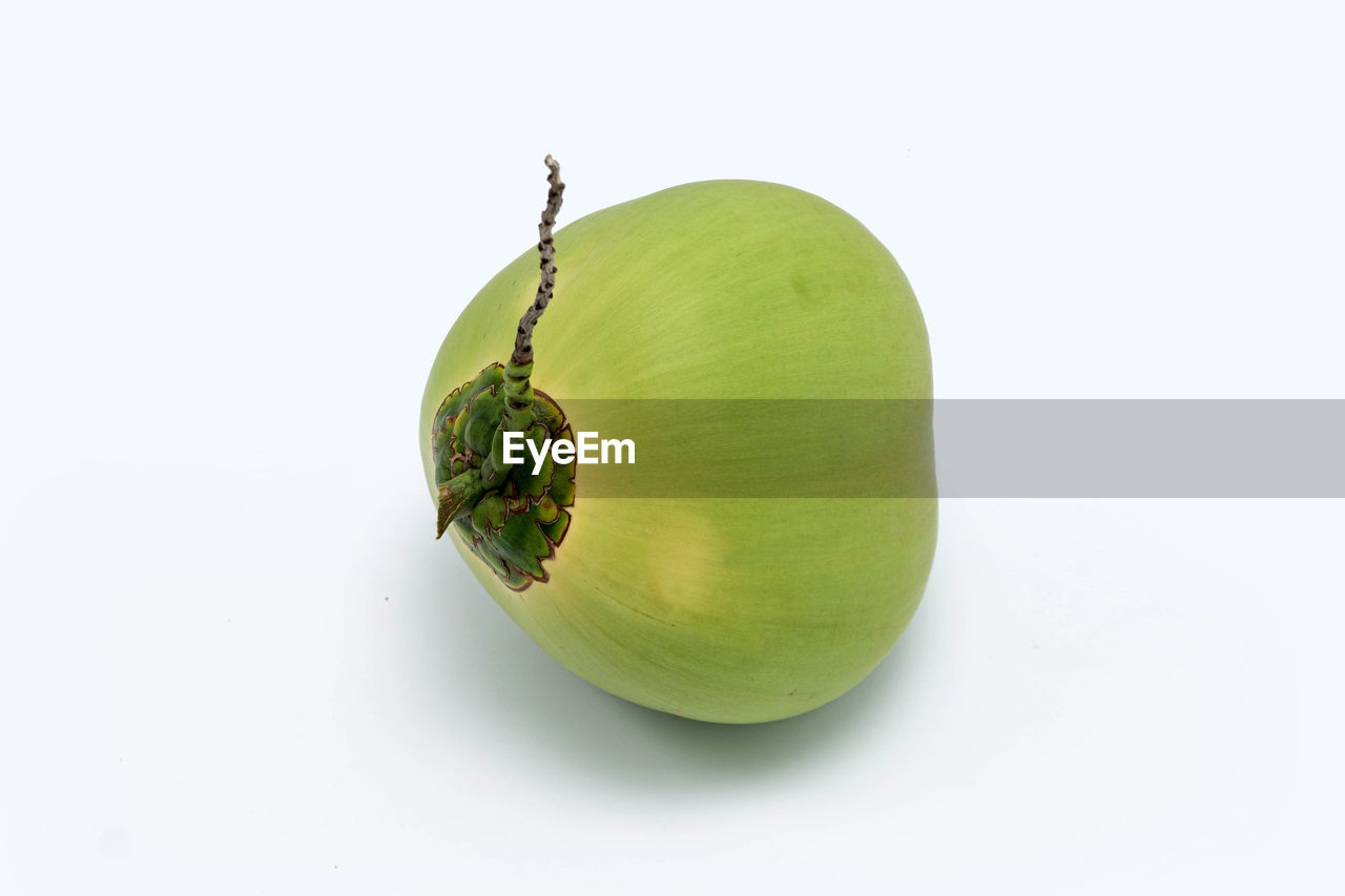 HIGH ANGLE VIEW OF FRESH GREEN LEAF AGAINST WHITE BACKGROUND