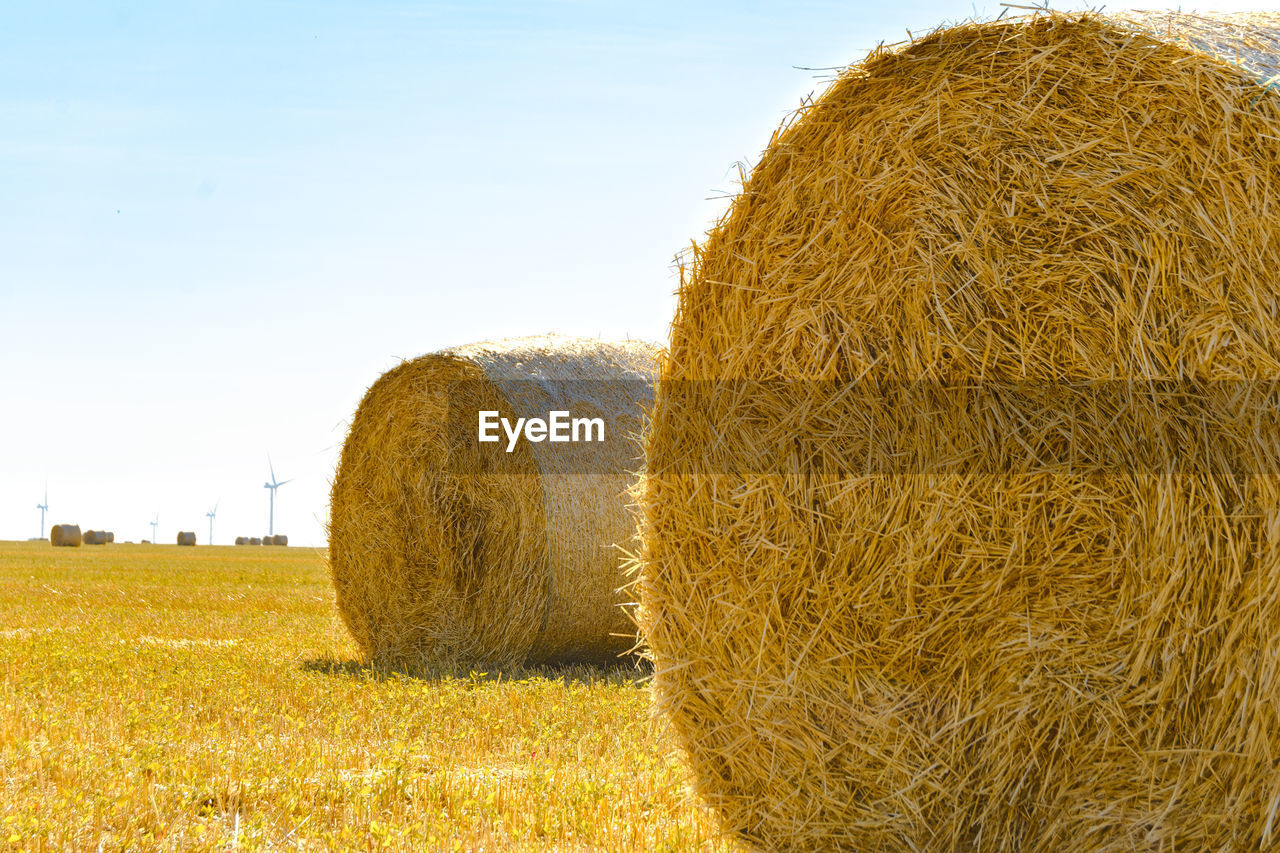 bale, hay, agriculture, rural scene, landscape, field, plant, farm, straw, land, harvesting, nature, rolled up, environment, crop, sky, haystack, cereal plant, gold, beauty in nature, sunlight, tranquility, scenics - nature, no people, grass, yellow, food, tranquil scene, day, circle, outdoors, summer, geometric shape, shape, growth