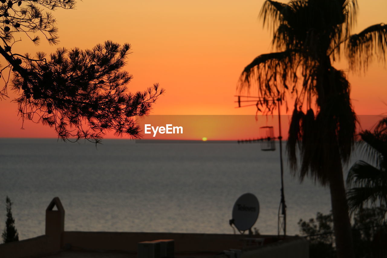 Silhouette of palm tree at beach during sunset