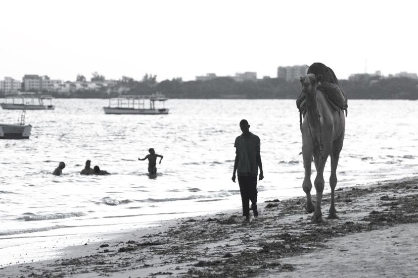 Teenage boy walking with camel on shore