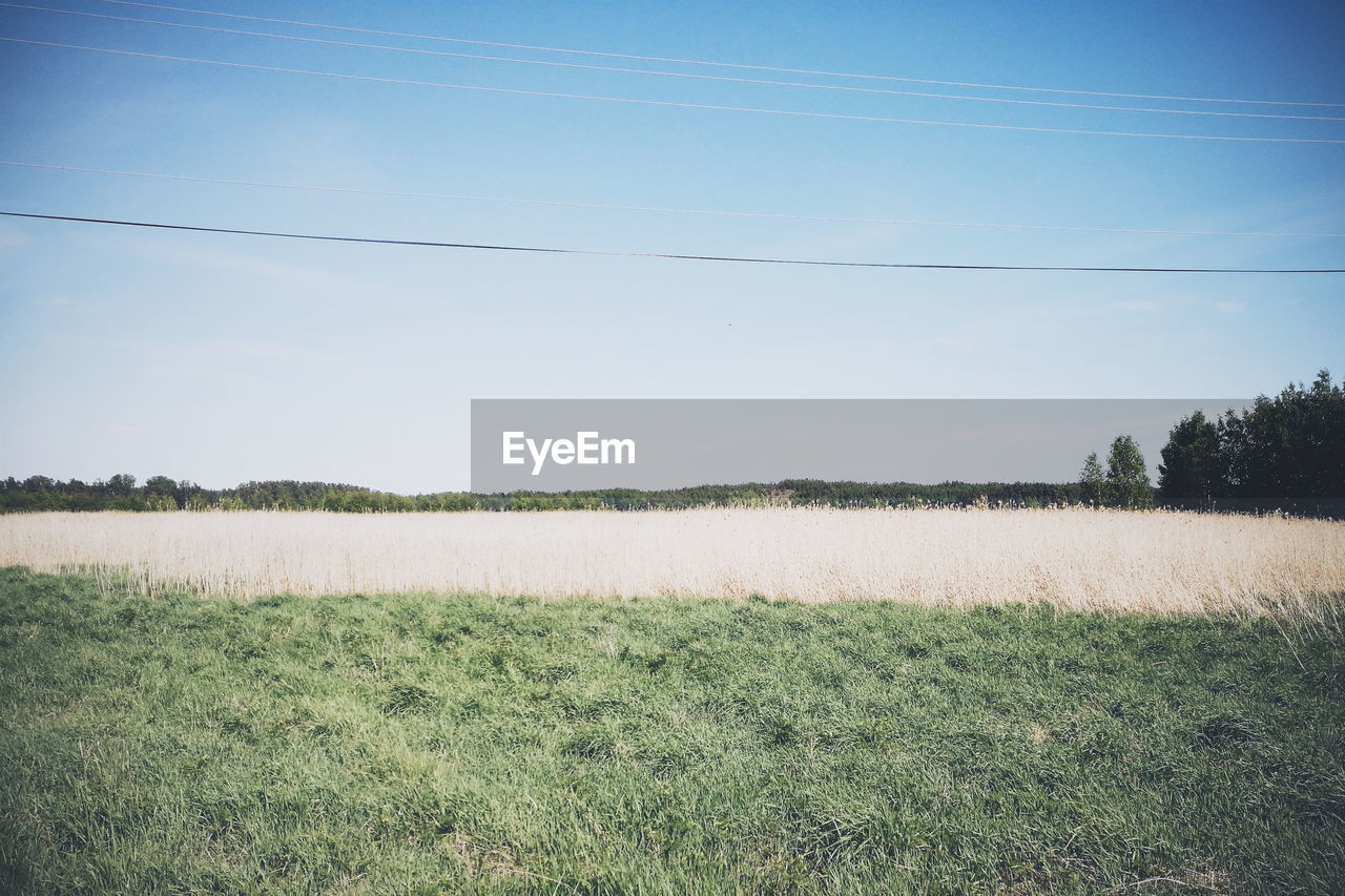 Scenic view of landscape against blue sky