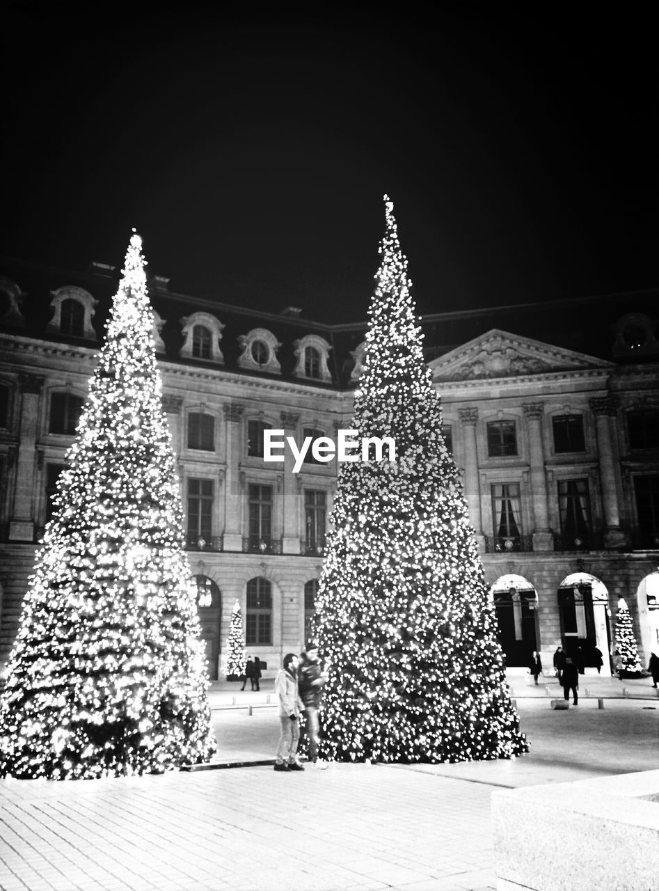 Christmas trees in front of buildings at night