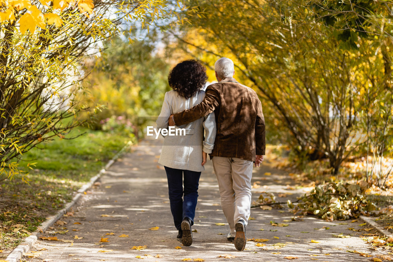 Back view - a man and a woman 50 years old are walking along the alley  in an autumn park
