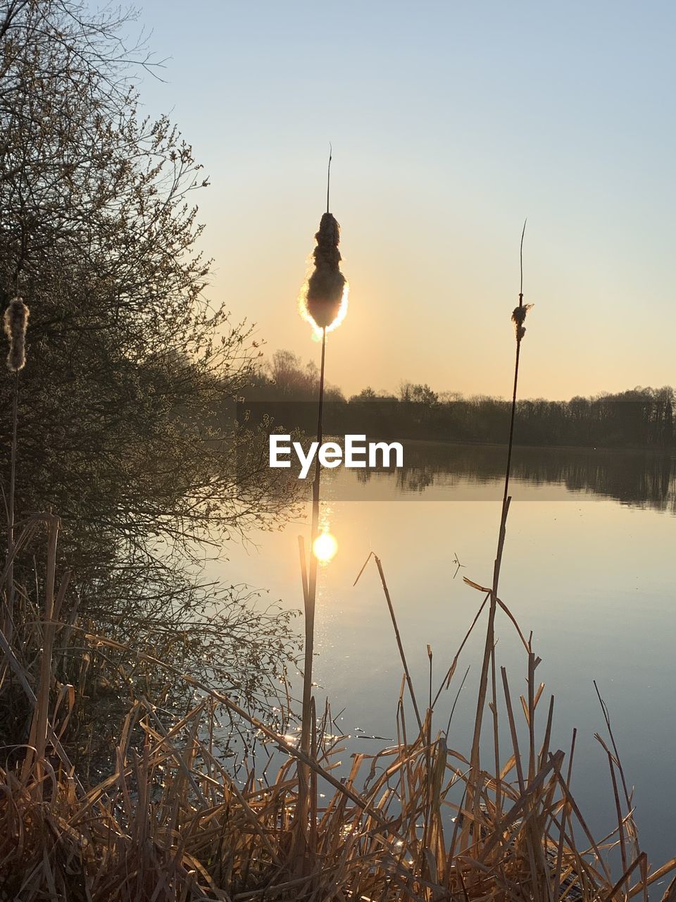 Scenic view of lake against sky during sunset